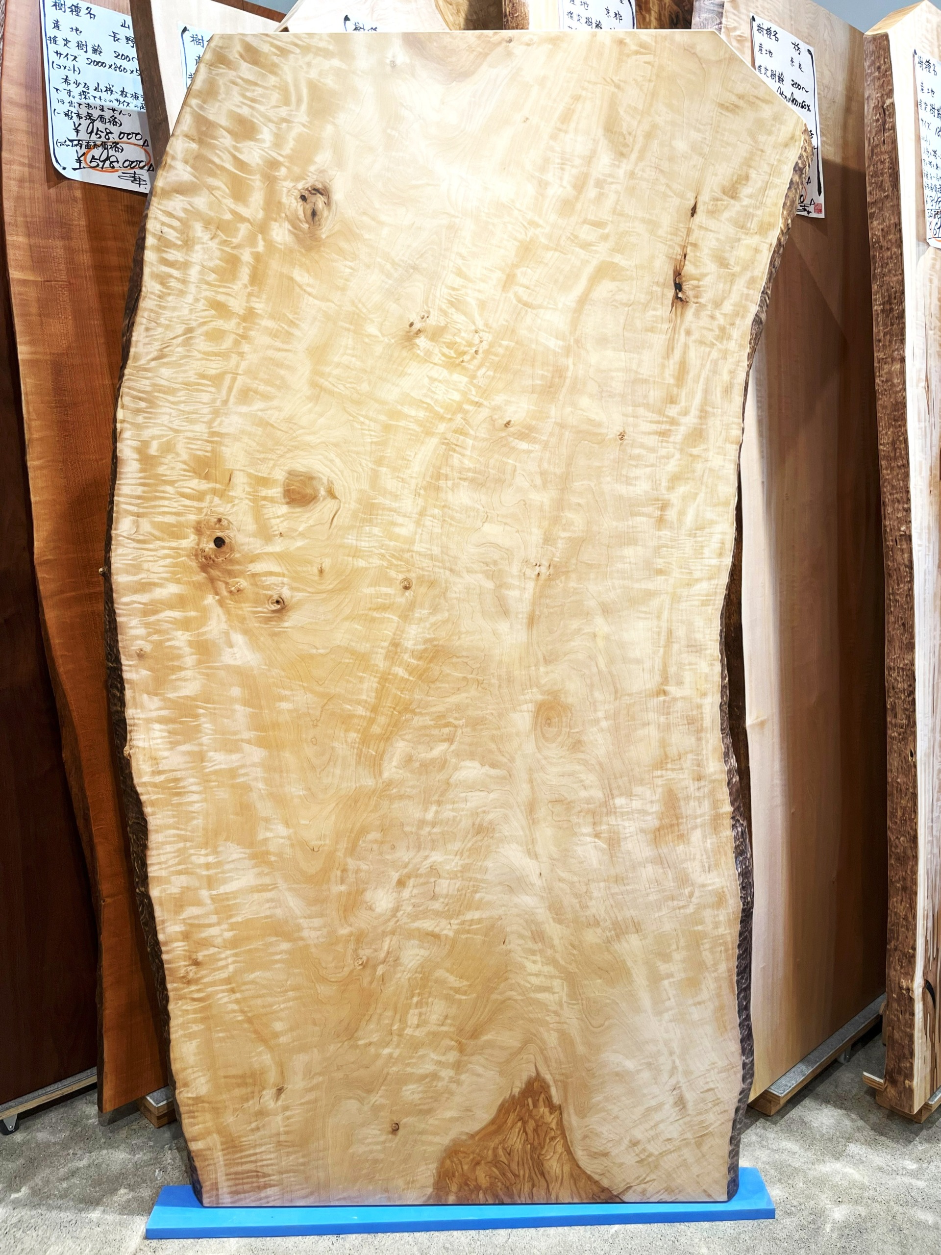 爆安) 白栃 一枚板テーブル 杢あり 新品／未使用 爆安) 白栃 一