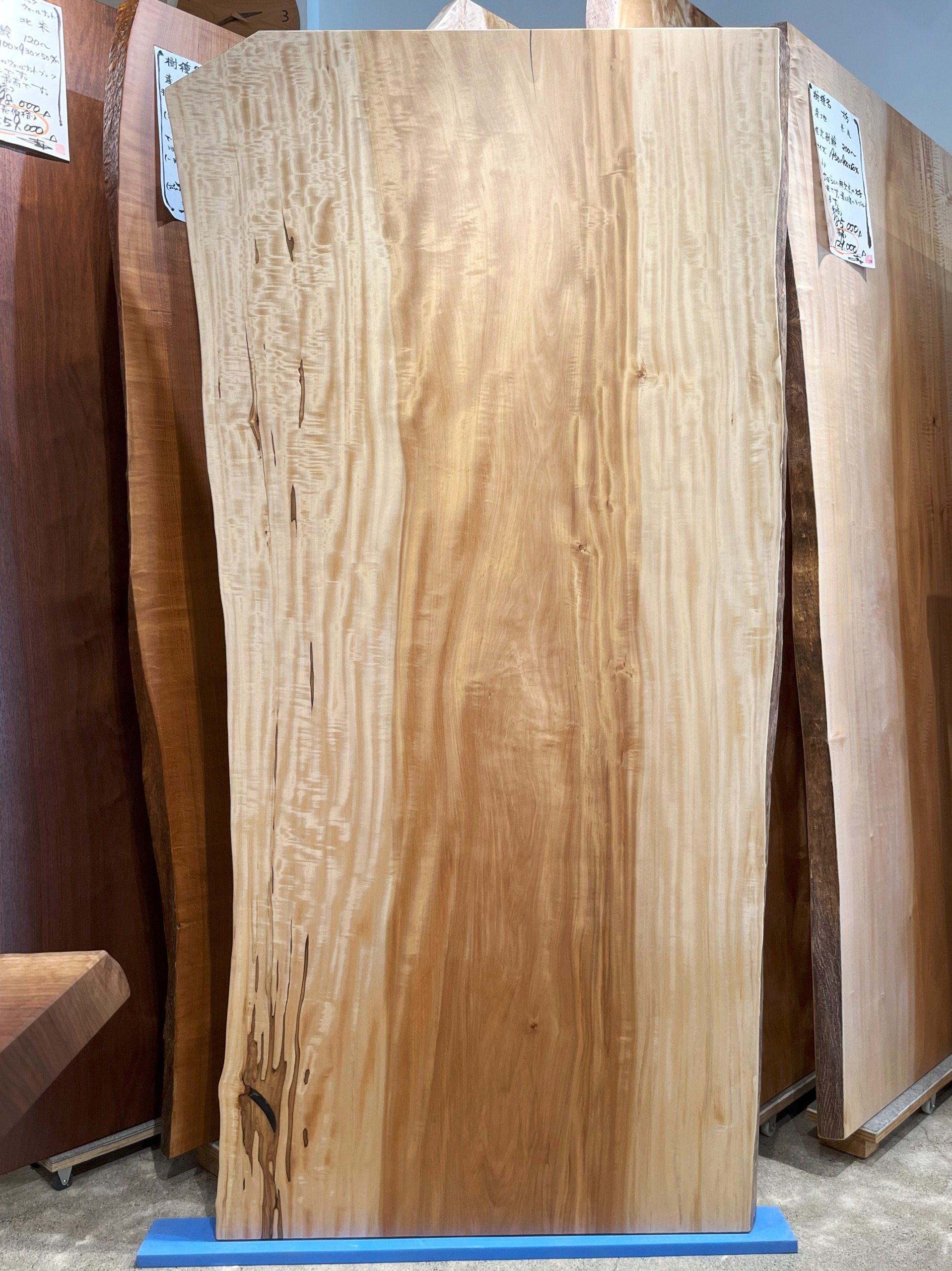 sale■衝立～ 栃の１枚板 栃 一枚板 – SWING